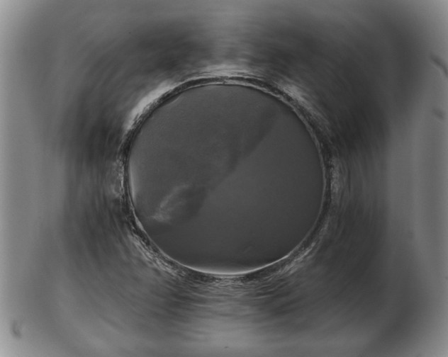 X0000103221358200809040954