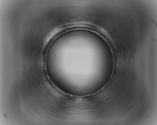 X0000103221360200809040954