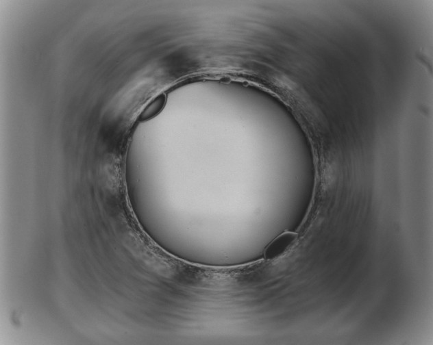 X0000103221361200809040954