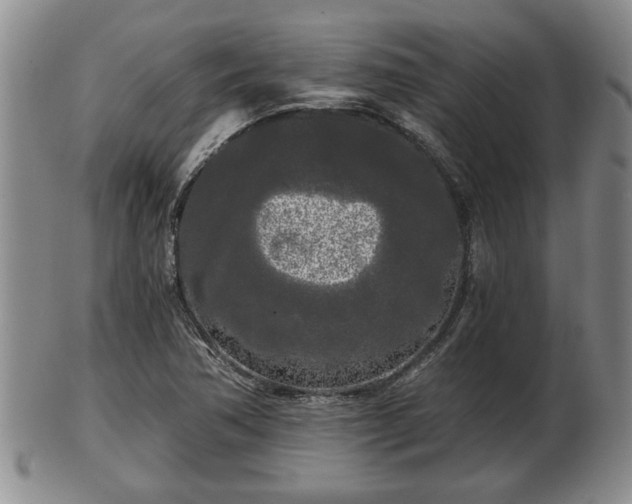 X0000103221362200809040954