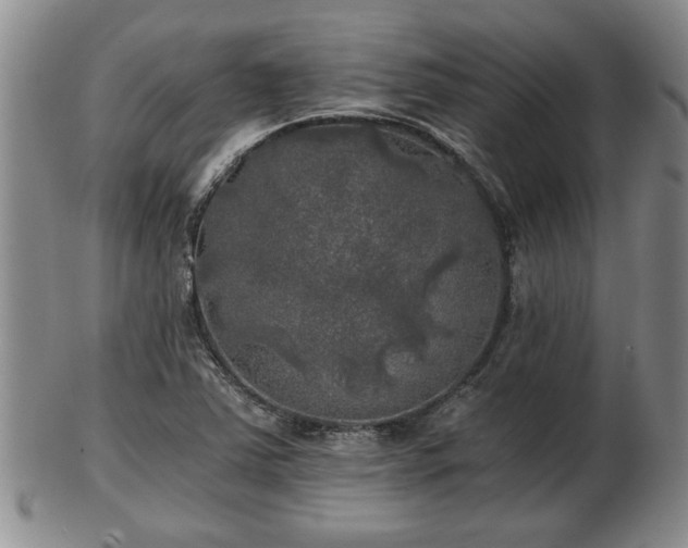 X0000103221363200809040953