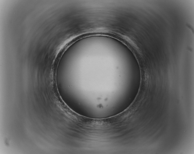 X0000103221364200809040953