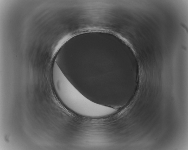 X0000103221365200809040953