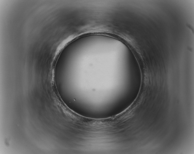 X0000103221366200809040953