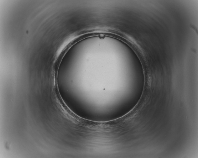 X0000103221368200809040953