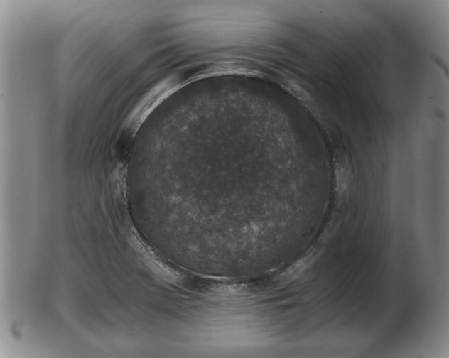 X0000103221369200809040953