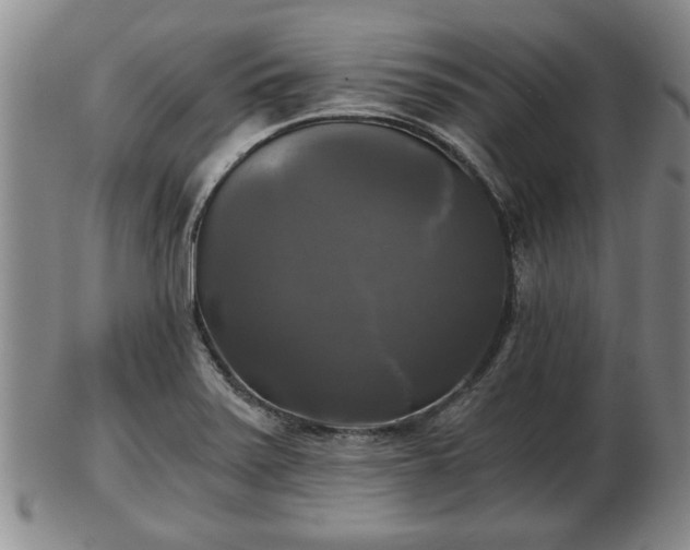 X0000103221371200809040953