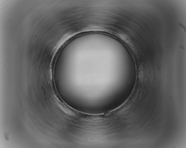 X0000103221372200809040953