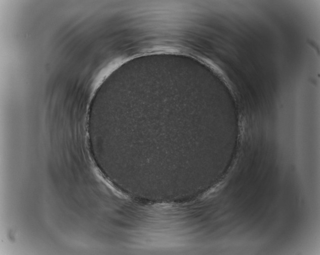 X0000103221373200809040953