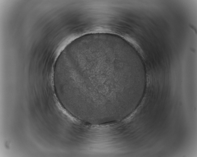 X0000103221374200809040953