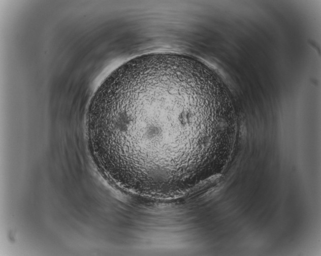 X0000103221375200809040953