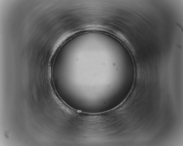 X0000103221376200809040953