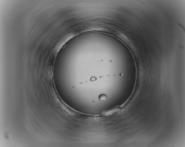 X0000103221377200809040953