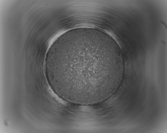 X0000103221379200809040953