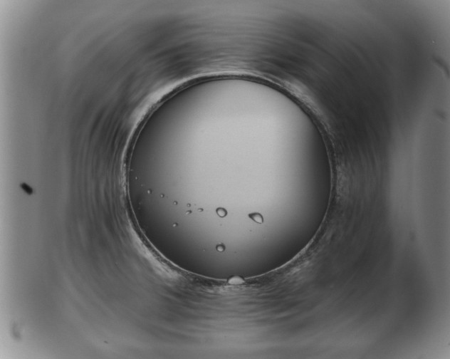 X0000103221380200809040953