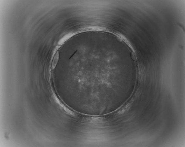 X0000103221381200809040953