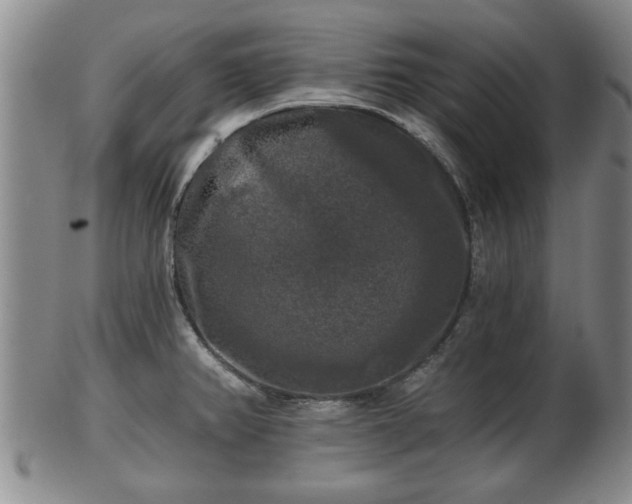 X0000103221382200809040953