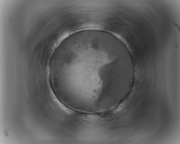 X0000103221383200809040953