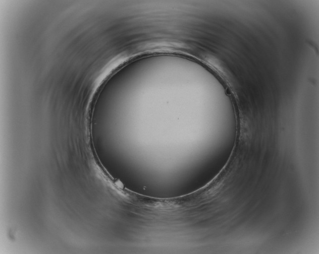 X0000103221384200809040953