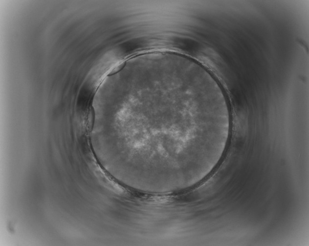 X0000103221385200809040953