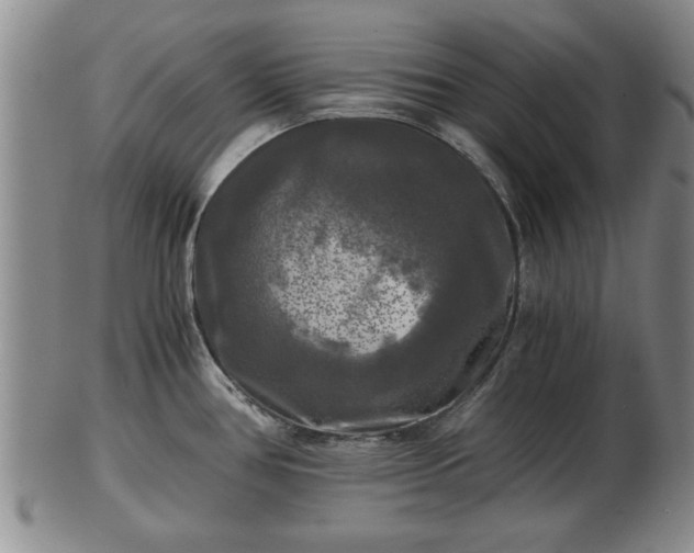 X0000103221386200809040953