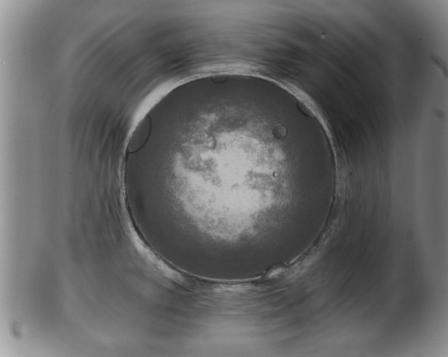 X0000103221389200809040953