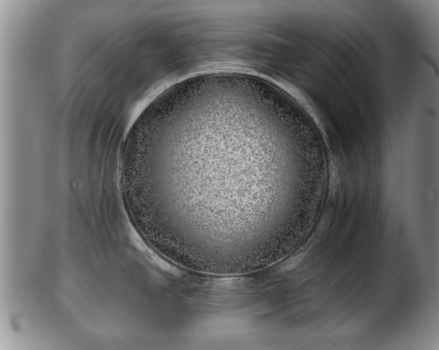 X0000103221390200809040953