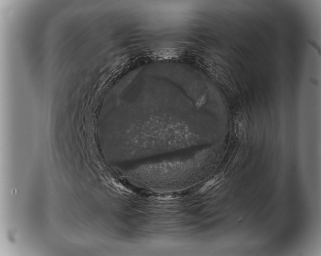 X0000103221393200809040952