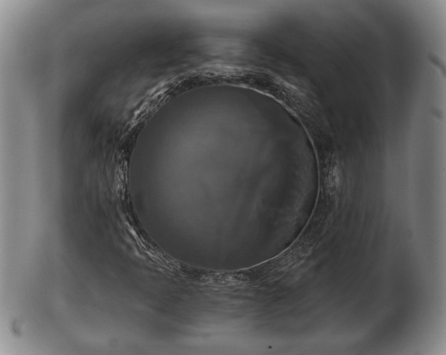 X0000103221397200809040952