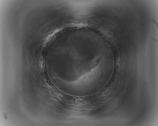 X0000103221398200809040953