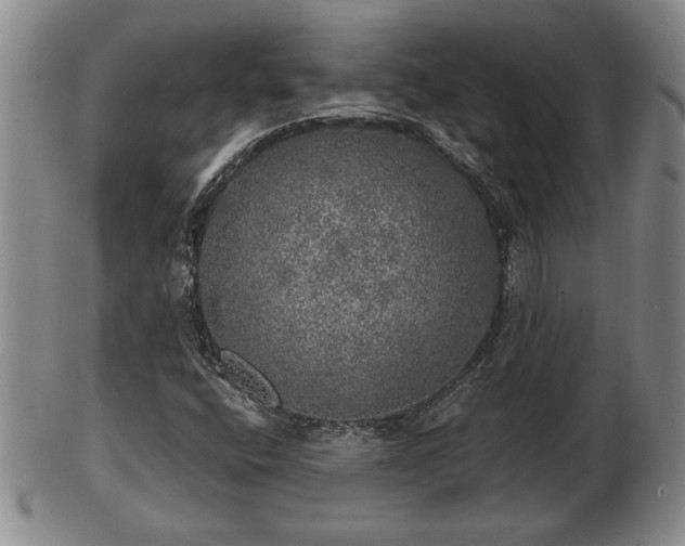 X0000103221400200809040953