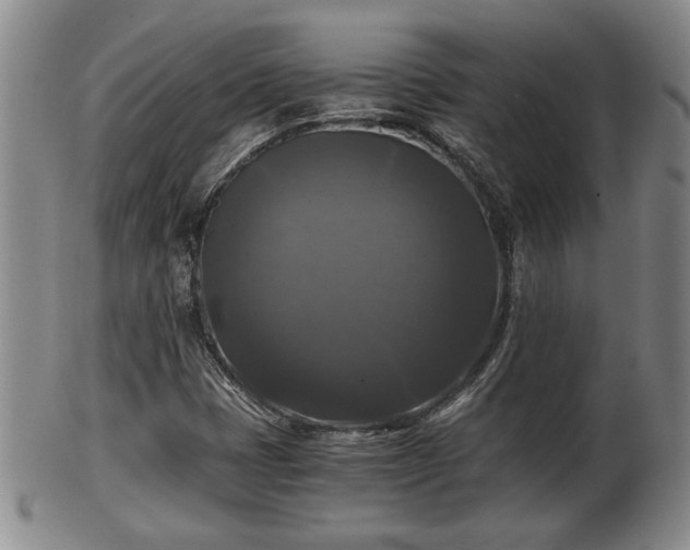 X0000103221401200809040953