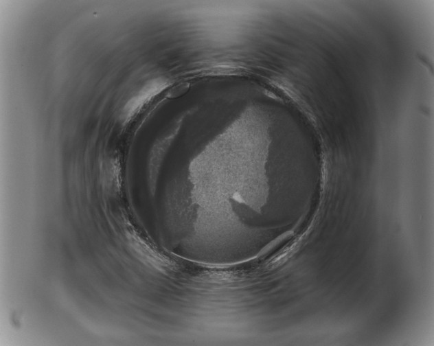 X0000103221402200809040953