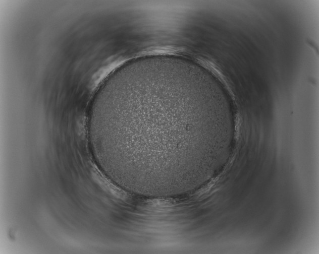 X0000103221404200809040953