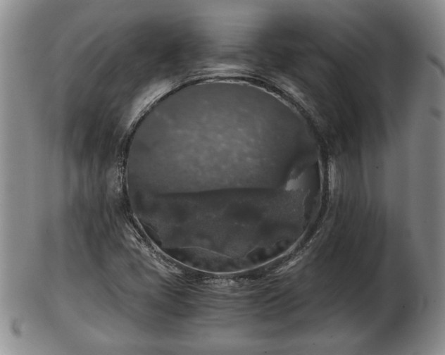 X0000103221405200809040953