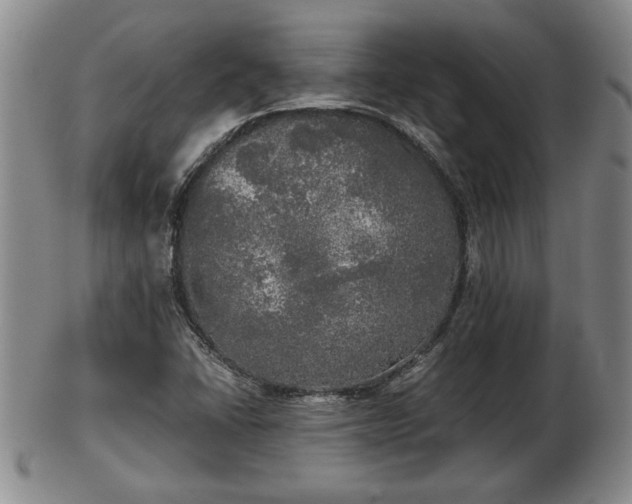 X0000103221406200809040953