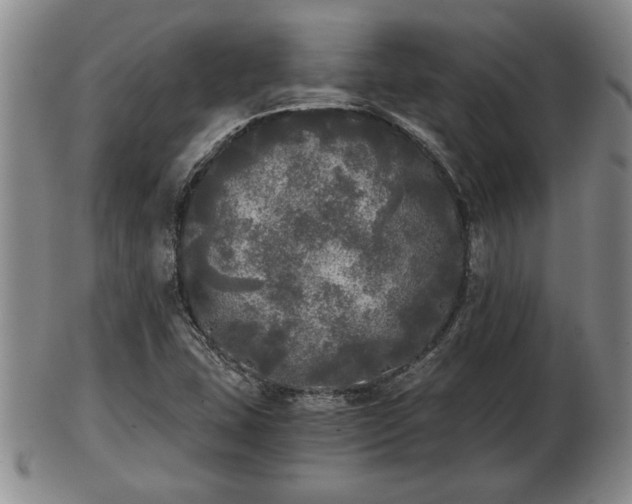 X0000103221407200809040953