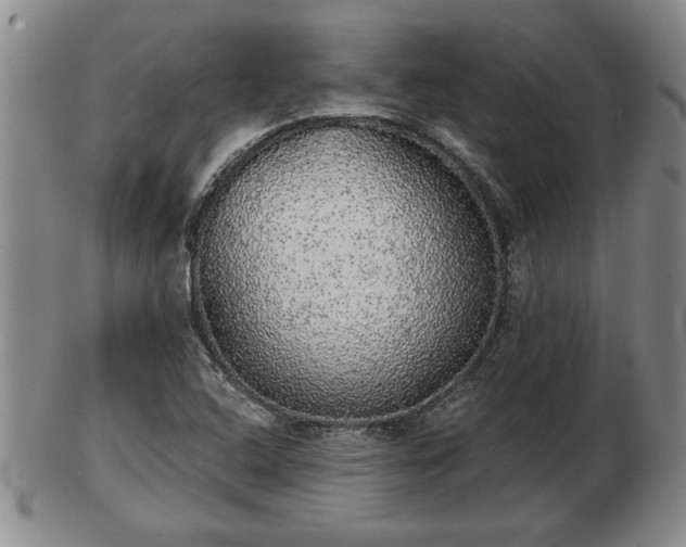 X0000103221408200809040953