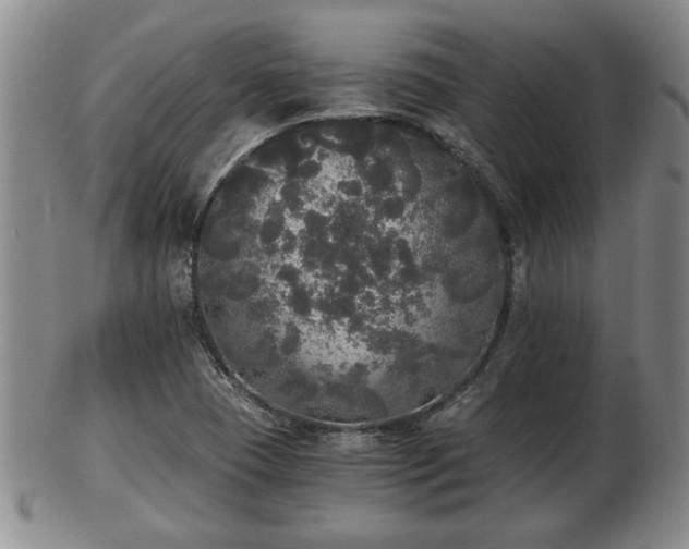 X0000103221409200809040953