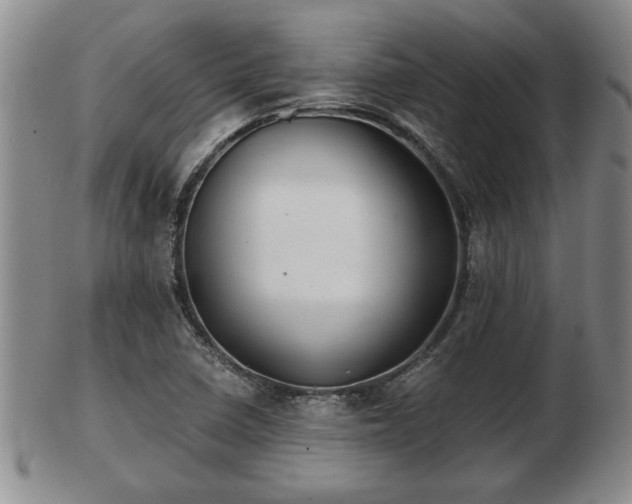 X0000103221410200809040953