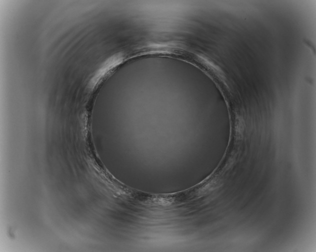 X0000103221411200809040953