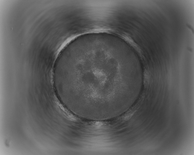 X0000103221412200809040953