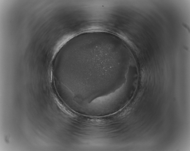 X0000103221413200809040953