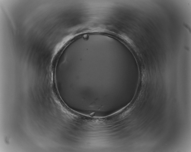 X0000103221414200809040953