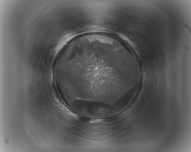 X0000103221415200809040953