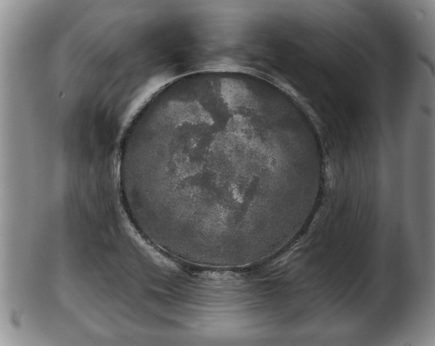 X0000103221416200809040953