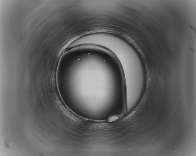 X0000103221417200809040953