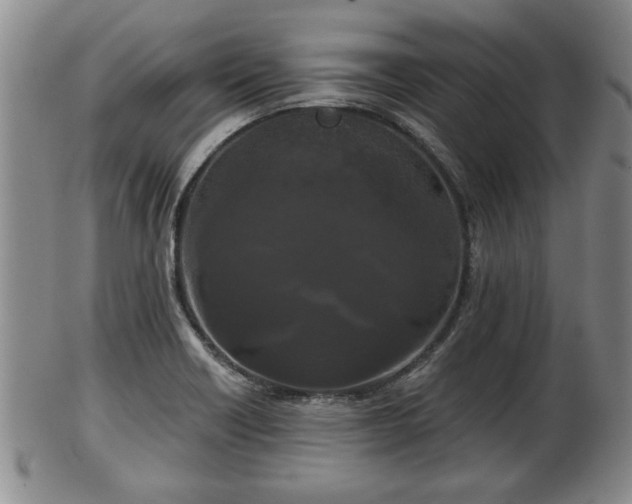 X0000103221418200809040953