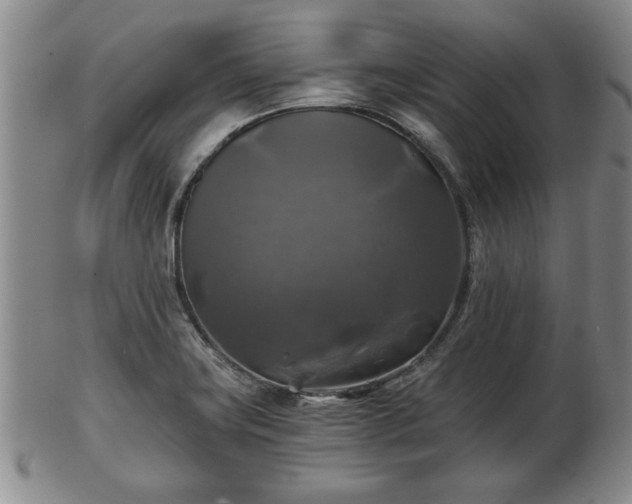 X0000103221419200809040953