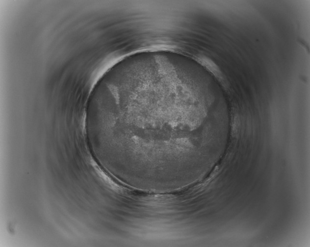 X0000103221420200809040953